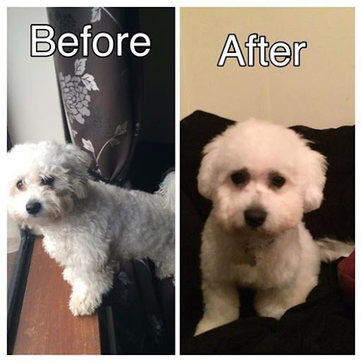 La Paws Grooming listing image