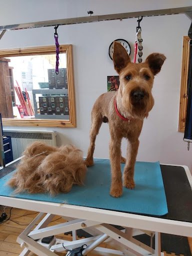 Laura’s Dog Styling listing image