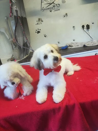 Laurelhill Dog Grooming listing image