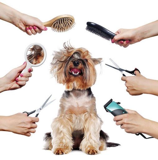 Letterkenny Small Animal Veterinary listing image
