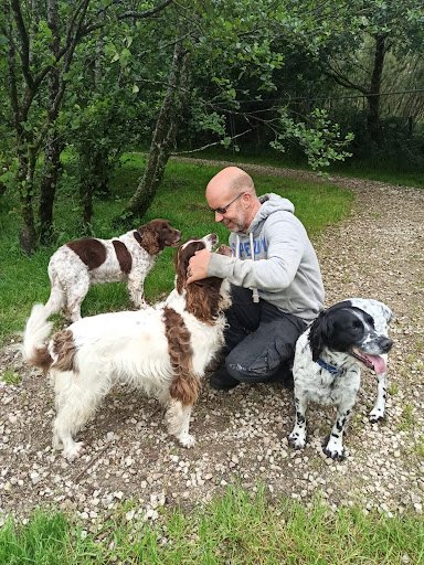 Lough Bo Boarding Kennels listing image