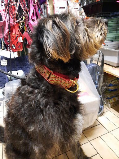 Macroom Pet Shop listing image