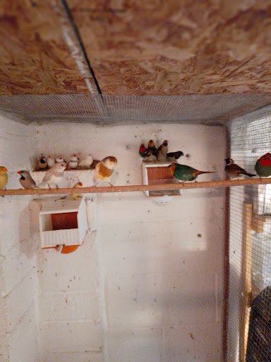 Mad About Pets - Waterford listing image