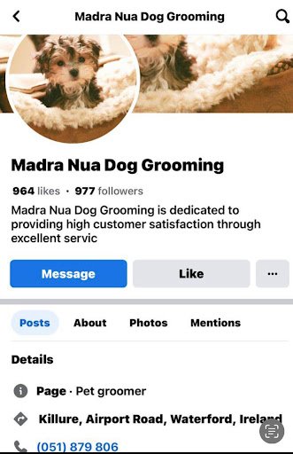 Madra Nua Dog Grooming listing image