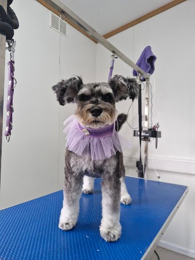 Maries Riverstick Groomers listing image