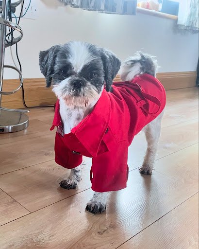 Millie's Dog Grooming listing image