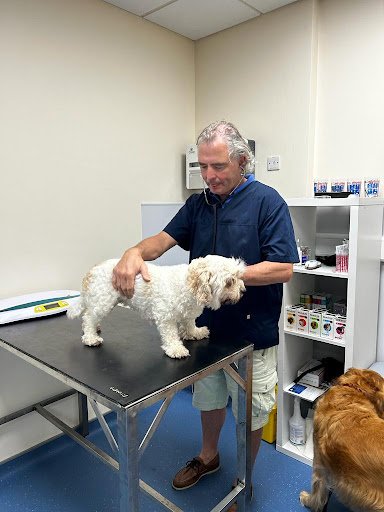 Montrose Veterinary Clinic listing image