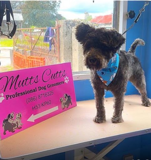 Mutts Cutts listing image