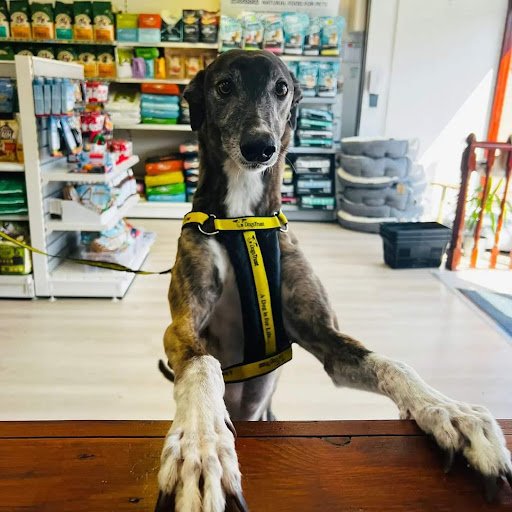 Mutts.ie Pet Shop listing image