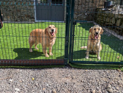 Old Mill Kennels listing image