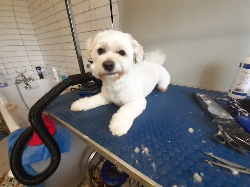 Olives Groom Room Ferrybank listing image