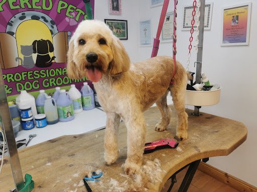 Pampered Pets - Riverchapel listing image