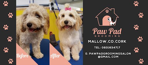 Paw Pad Grooming listing image