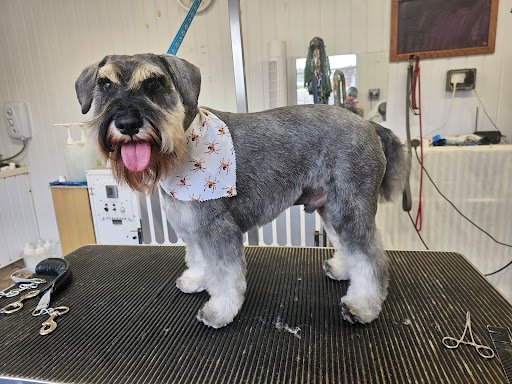 Pawfect Pooch Dog Grooming Parlour listing image