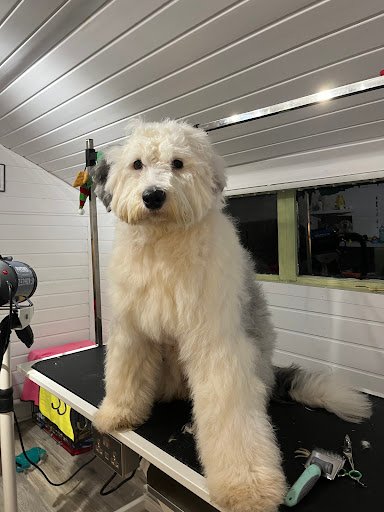 Peace & Fluff Dog Groomers listing image