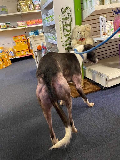 Pet Depot Enniscorthy listing image