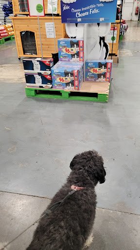 Pet Food Depot Blanchardstown listing image