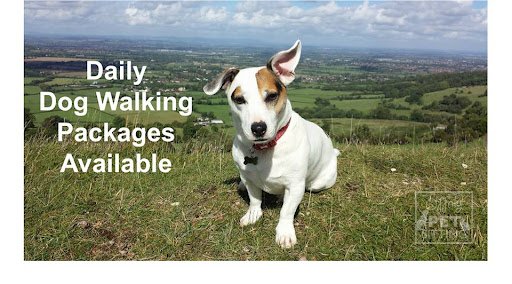 Pet Friends With Gemma listing image