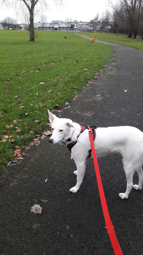 Pet Sitters Ireland - Leighlinbridge listing image