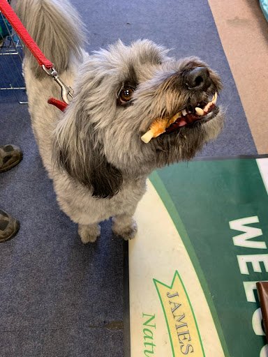 Petland - BlackRock listing image