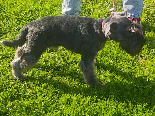 Petmania Clonmel listing image