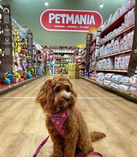 Petmania Sligo Grooming Nutrition Pet Store listing image