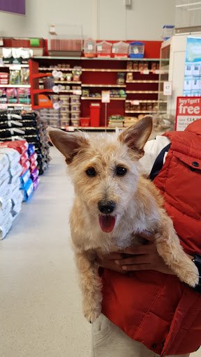 Petmania Tullamore Grooming Nutrition & Pet Store listing image
