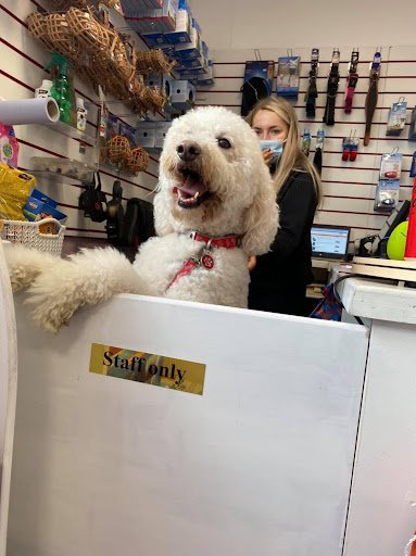 Pets Plus - Fermoy listing image