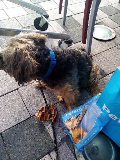 Petstop - Blanchardstown listing image