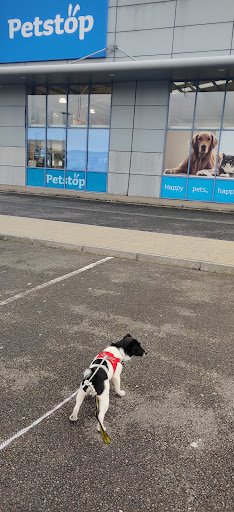 Petstop - Tralee listing image