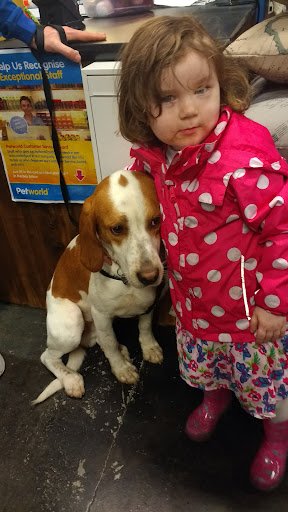 Petworld Portlaoise | Pet Store listing image