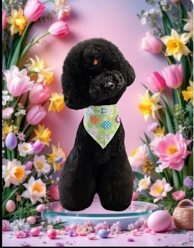 Posh Paws by Robyn listing image