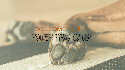 Power Paws Club listing image