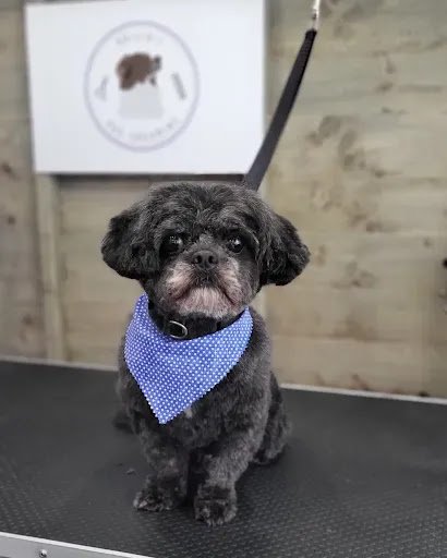 Róisín's Dog Grooming listing image