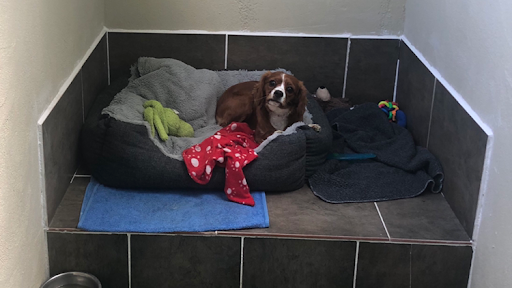 Riverpark Kennels & Cattery listing image