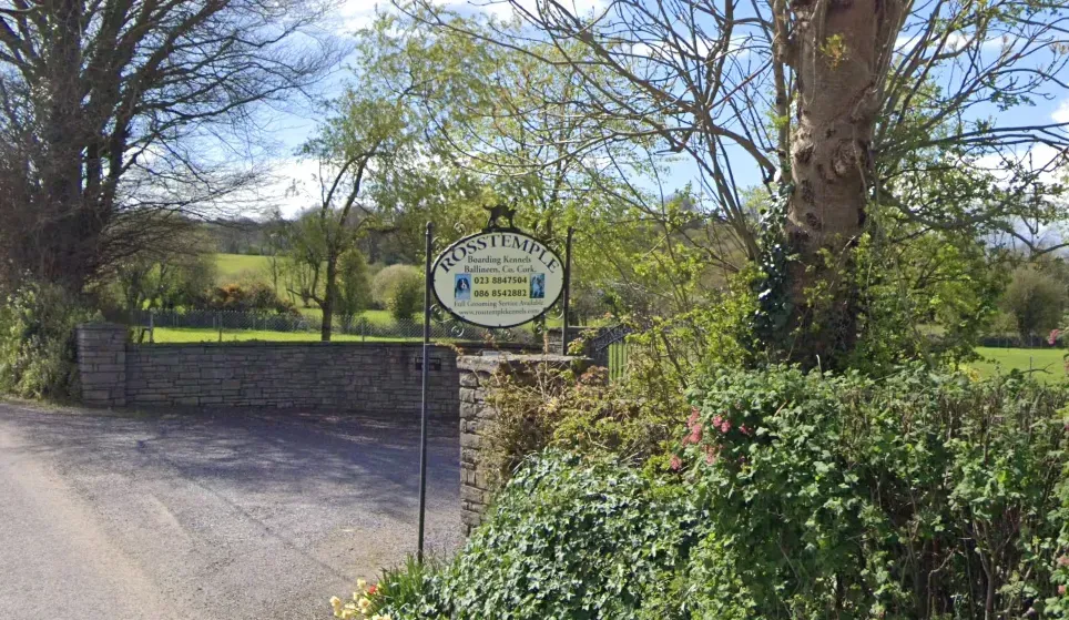 Rosstemple Boarding Kennels listing image