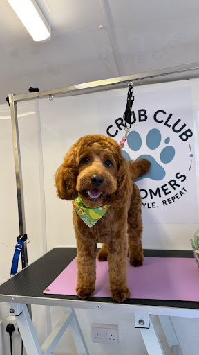 Scrub Club Groomers listing image