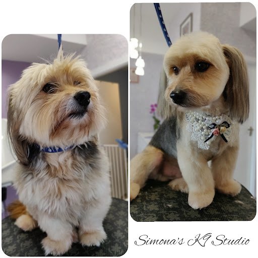 Simona's K9 Studio listing image