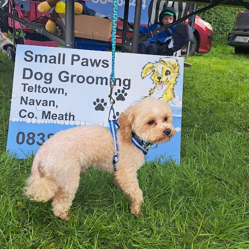 Small Paws Dog Grooming & Boarding Kennels listing image