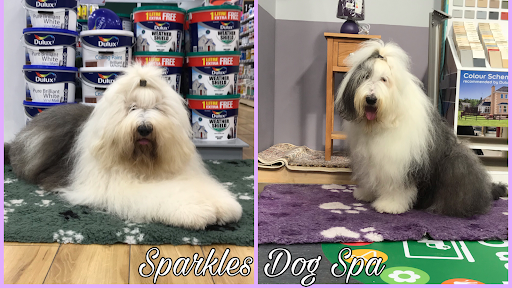 Sparkles Dog SPA listing image