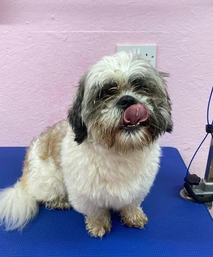 The Archway Grooming listing image