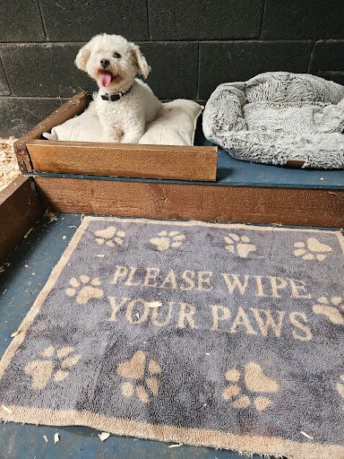 The Canine Chiropractic Clinic & Sixmilebridge Boarding Kennels listing image
