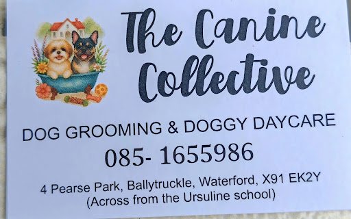 The Canine Collective listing image
