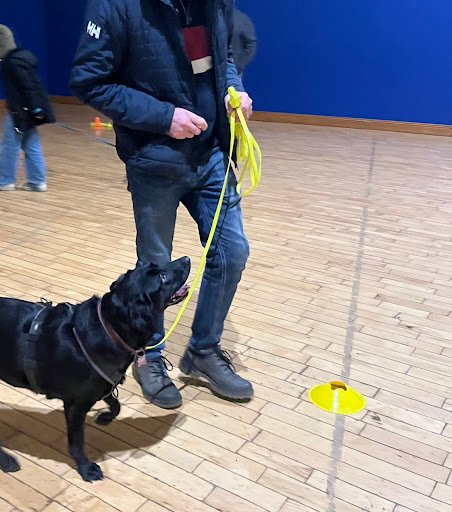 The Crate Escape Dog Trainer listing image