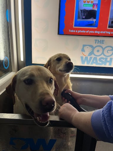 The Dog Wash - Donabate listing image