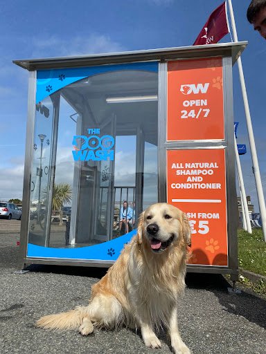 The Dog Wash - Dublin listing image