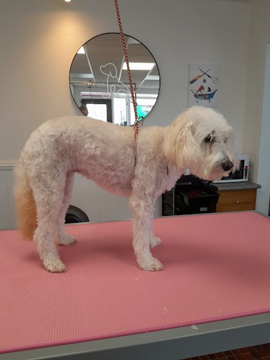 The Grooming SPA listing image