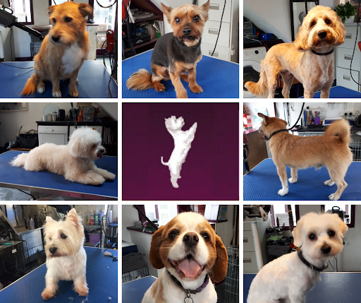 The Little Dog Laughed Grooming Salon listing image