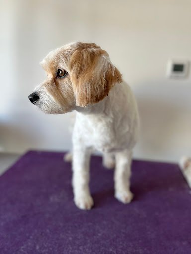 The Muttley Crew listing image
