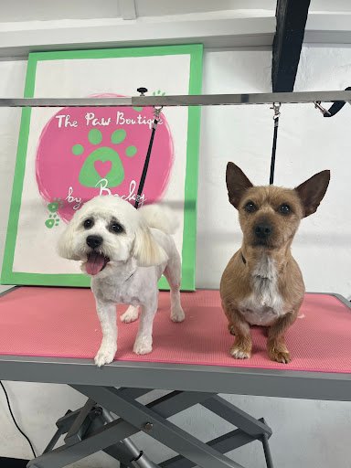 The Paw Boutique by Becky listing image